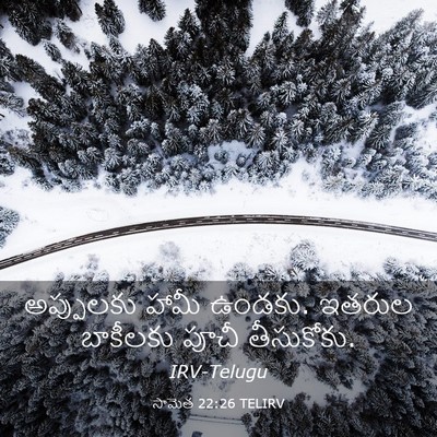 Picture 03 - సామెత 22:26 TELIRV - అప్పులకు హామీ - Bible Verse Picture