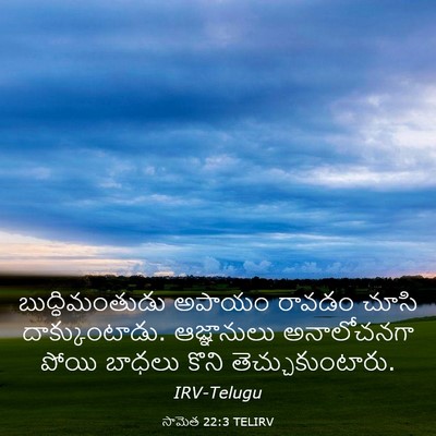 Picture 03 - సామెత 22:3 TELIRV - బుద్ధిమంతుడు - Bible Verse Picture