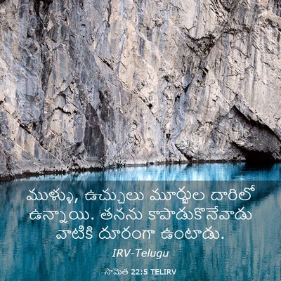 Picture 03 - సామెత 22:5 TELIRV - ముళ్ళు, ఉచ్చులు - Bible Verse Picture