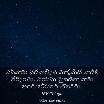 Picture 03 - సామెత 22:6 TELIRV - పసివాడు నడవాల్సిన - Bible Verse Picture