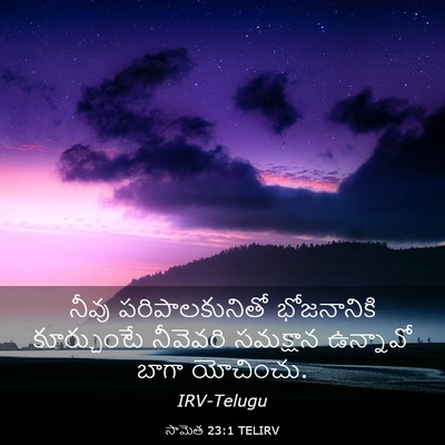 Picture 03 - సామెత 23:1 TELIRV - నీవు పరిపాలకునితో - Bible Verse Picture