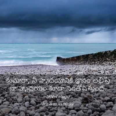 Picture 03 - సామెత 23:15 TELIRV - కుమారా, నీ - Bible Verse Picture