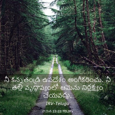 Picture 03 - సామెత 23:22 TELIRV - నీ కన్నతండ్రి - Bible Verse Picture