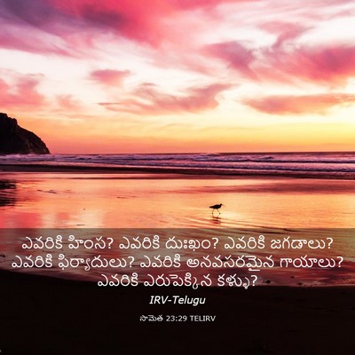 Picture 03 - సామెత 23:29 TELIRV - ఎవరికి హింస? - Bible Verse Picture