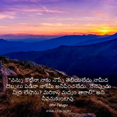 Picture 03 - సామెత 23:35 TELIRV - “నన్ను కొట్టినా - Bible Verse Picture