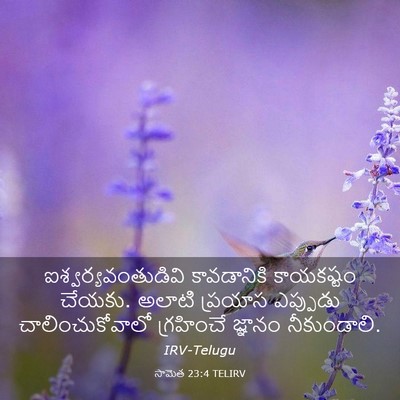 Picture 03 - సామెత 23:4 TELIRV - ఐశ్వర్యవంతుడివి - Bible Verse Picture