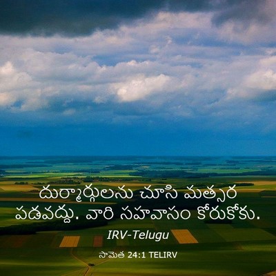 Picture 03 - సామెత 24:1 TELIRV - దుర్మార్గులను - Bible Verse Picture
