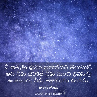 Picture 03 - సామెత 24:14 TELIRV - నీ ఆత్మకు జ్ఞానం - Bible Verse Picture