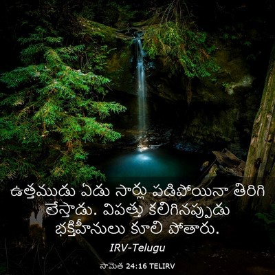 Picture 03 - సామెత 24:16 TELIRV - ఉత్తముడు ఏడు - Bible Verse Picture