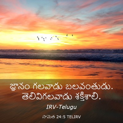 Picture 03 - సామెత 24:5 TELIRV - జ్ఞానం గలవాడు - Bible Verse Picture