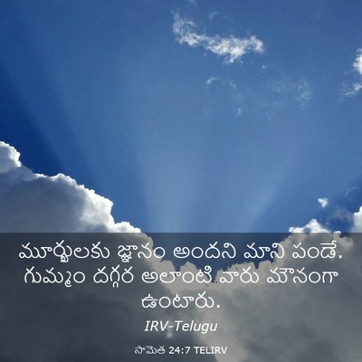 Picture 03 - సామెత 24:7 TELIRV - మూర్ఖులకు జ్ఞానం - Bible Verse Picture