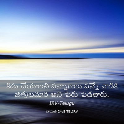 Picture 03 - సామెత 24:8 TELIRV - కీడు చేయాలని - Bible Verse Picture