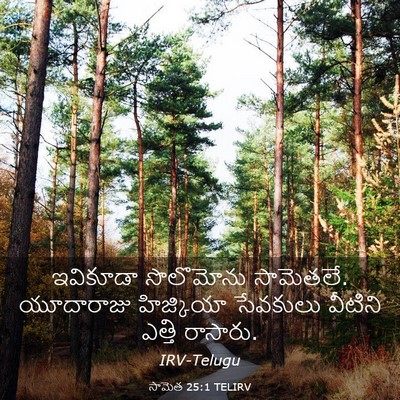 Picture 03 - సామెత 25:1 TELIRV - ఇవికూడా సొలొమోను - Bible Verse Picture
