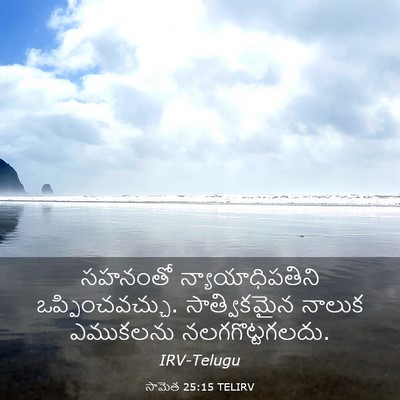 Picture 03 - సామెత 25:15 TELIRV - సహనంతో - Bible Verse Picture