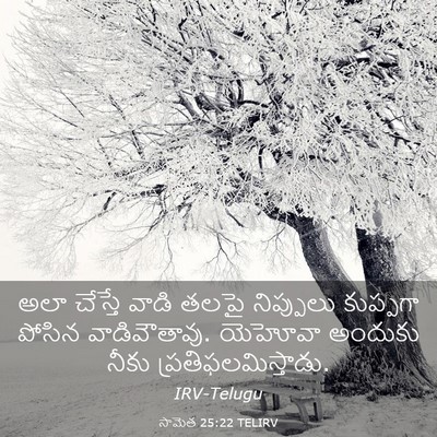 Picture 03 - సామెత 25:22 TELIRV - అలా చేస్తే వాడి - Bible Verse Picture