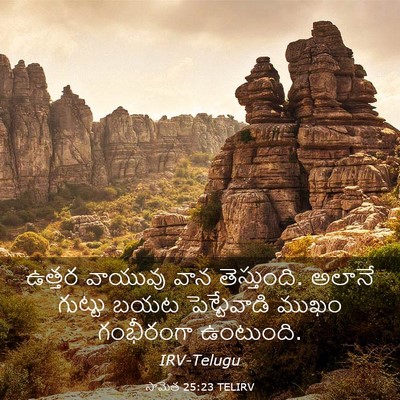 Picture 03 - సామెత 25:23 TELIRV - ఉత్తర వాయువు వాన - Bible Verse Picture