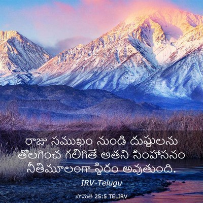 Picture 03 - సామెత 25:5 TELIRV - రాజు సముఖం నుండి - Bible Verse Picture