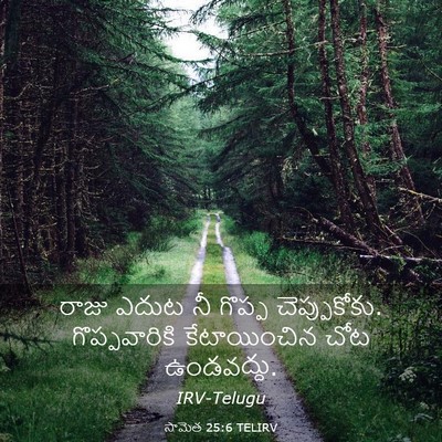 Picture 03 - సామెత 25:6 TELIRV - రాజు ఎదుట నీ గొప్ప - Bible Verse Picture