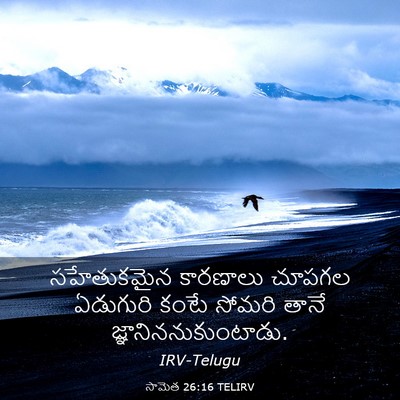 Picture 03 - సామెత 26:16 TELIRV - సహేతుకమైన కారణాలు - Bible Verse Picture