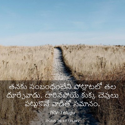 Picture 03 - సామెత 26:17 TELIRV - తనకు సంబంధంలేని - Bible Verse Picture