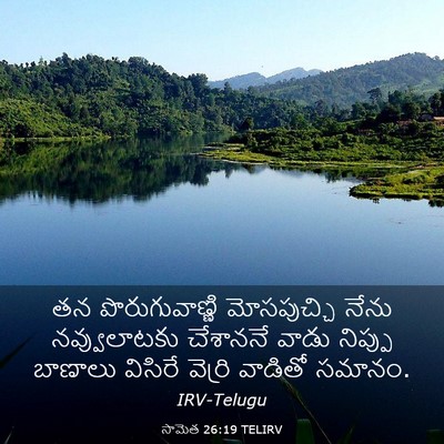 Picture 03 - సామెత 26:19 TELIRV - తన పొరుగువాణ్ణి - Bible Verse Picture