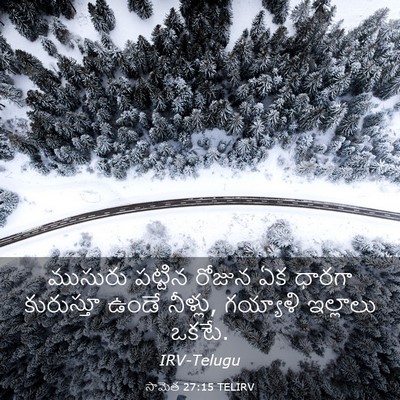 Picture 03 - సామెత 27:15 TELIRV - ముసురు పట్టిన - Bible Verse Picture