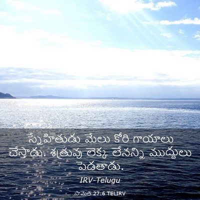 Picture 03 - సామెత 27:6 TELIRV - స్నేహితుడు మేలు - Bible Verse Picture