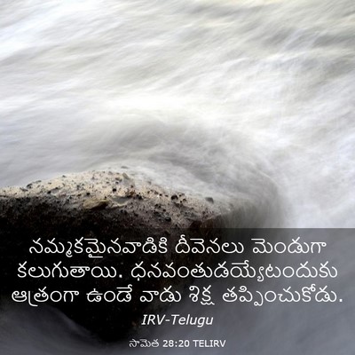 Picture 03 - సామెత 28:20 TELIRV - నమ్మకమైనవాడికి - Bible Verse Picture
