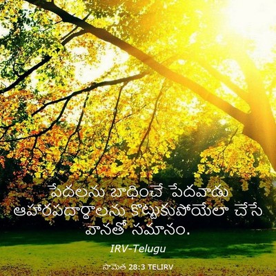 Picture 03 - సామెత 28:3 TELIRV - పేదలను బాధించే - Bible Verse Picture