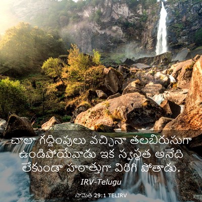 Picture 03 - సామెత 29:1 TELIRV - చాలా గద్దింపులు - Bible Verse Picture