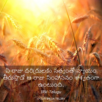 Picture 03 - సామెత 29:14 TELIRV - ఏ రాజు దరిద్రులకు - Bible Verse Picture