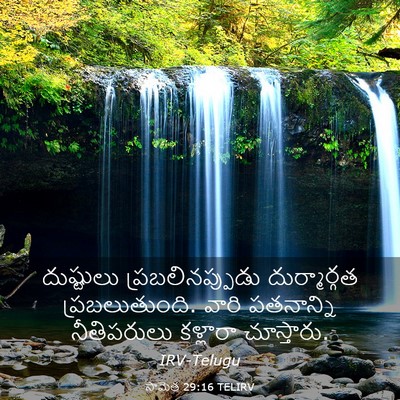 Picture 03 - సామెత 29:16 TELIRV - దుష్టులు - Bible Verse Picture