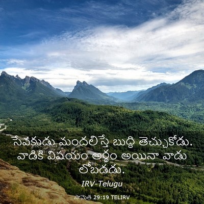 Picture 03 - సామెత 29:19 TELIRV - సేవకుడు మందలిస్తే - Bible Verse Picture