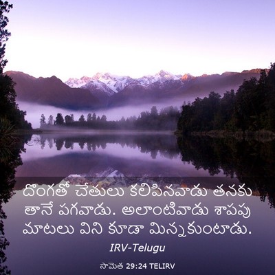 Picture 03 - సామెత 29:24 TELIRV - దొంగతో చేతులు - Bible Verse Picture