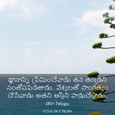 Picture 03 - సామెత 29:3 TELIRV - జ్ఞానాన్ని - Bible Verse Picture