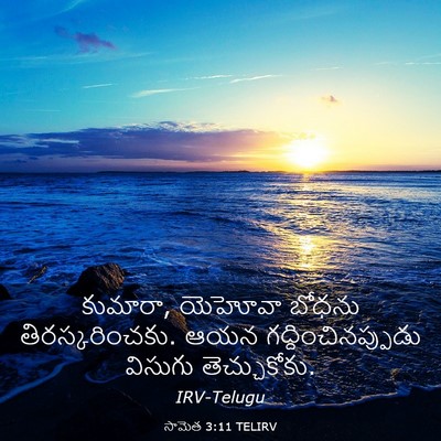 Picture 03 - సామెత 3:11 TELIRV - కుమారా, యెహోవా - Bible Verse Picture