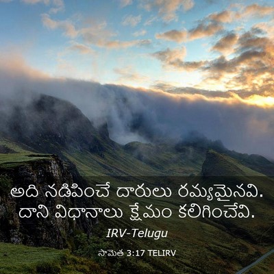 Picture 03 - సామెత 3:17 TELIRV - అది నడిపించే - Bible Verse Picture