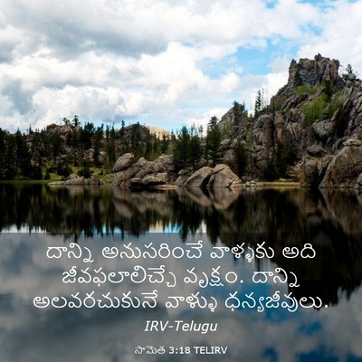 Picture 03 - సామెత 3:18 TELIRV - దాన్ని అనుసరించే - Bible Verse Picture