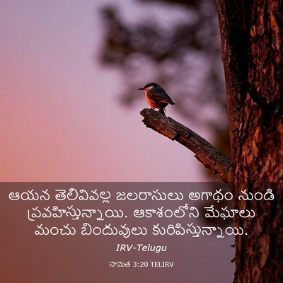 Picture 03 - సామెత 3:20 TELIRV - ఆయన తెలివివల్ల - Bible Verse Picture