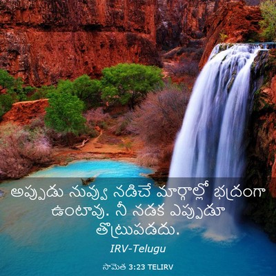 Picture 03 - సామెత 3:23 TELIRV - అప్పుడు నువ్వు - Bible Verse Picture