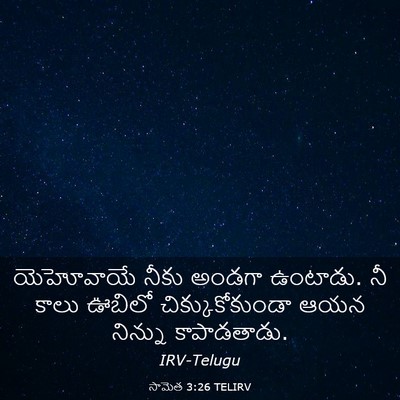 Picture 03 - సామెత 3:26 TELIRV - యెహోవాయే నీకు - Bible Verse Picture