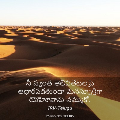 Picture 03 - సామెత 3:5 TELIRV - నీ స్వంత - Bible Verse Picture