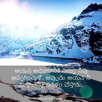 Picture 03 - సామెత 3:6 TELIRV - ఆయన అధికారానికి - Bible Verse Picture