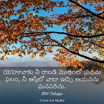 Picture 03 - సామెత 3:9 TELIRV - యెహోవాకు నీ రాబడి - Bible Verse Picture