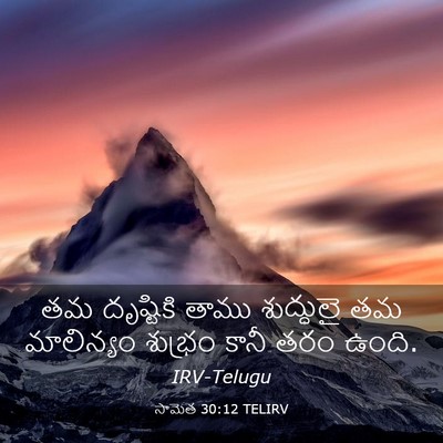 Picture 03 - సామెత 30:12 TELIRV - తమ దృష్టికి తాము - Bible Verse Picture