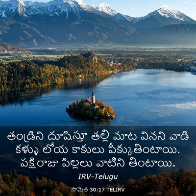 Picture 03 - సామెత 30:17 TELIRV - తండ్రిని దూషిస్తూ - Bible Verse Picture