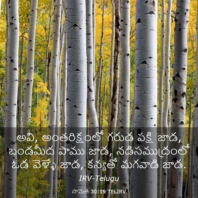 Picture 03 - సామెత 30:19 TELIRV - అవి, అంతరిక్షంలో - Bible Verse Picture
