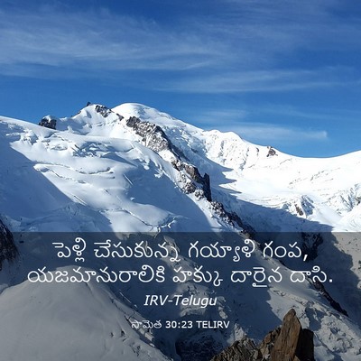Picture 03 - సామెత 30:23 TELIRV - పెళ్లి చేసుకున్న - Bible Verse Picture
