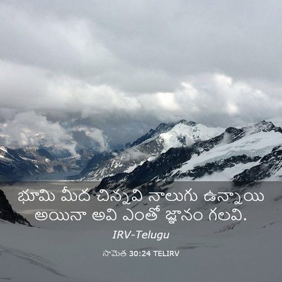 Picture 03 - సామెత 30:24 TELIRV - భూమి మీద చిన్నవి - Bible Verse Picture