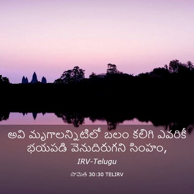 Picture 03 - సామెత 30:30 TELIRV - అవి మృగాలన్నిటిలో - Bible Verse Picture